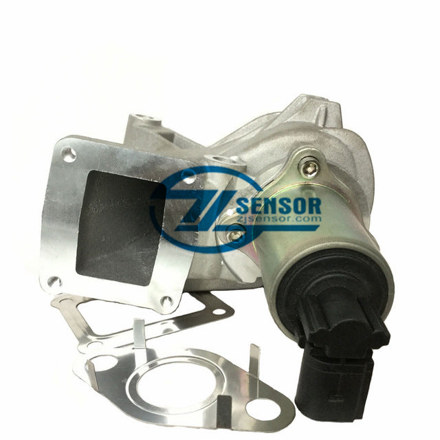 8200463548 EGR VALVE 8200542999,7701058850,7701067308,7701065038,8200467059 For Renault Laguna Grand Scenic Megane Scenic 1.9