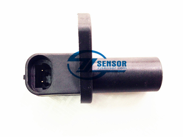 crankshaft position sensor for LADA OE:191.3847