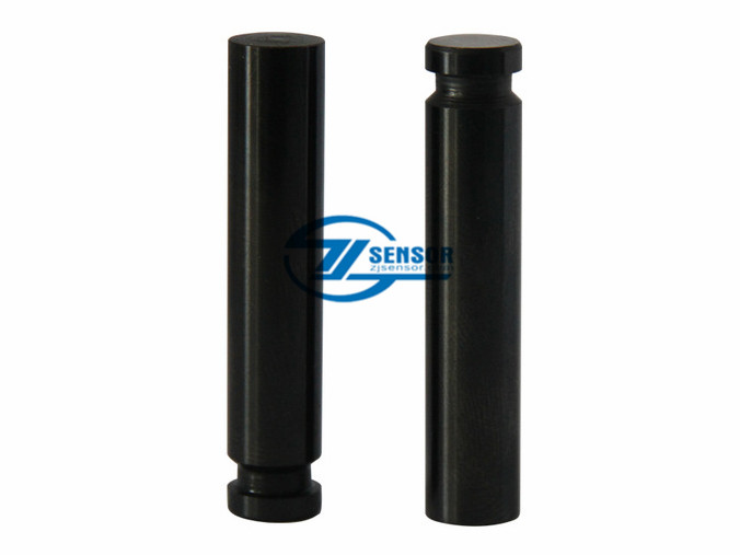 Factory Outlet Plunger for CAT 320D injector pump (1pcs)