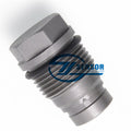 1110010027 Common Rail Pressure Relief Limiter valve 1 110 010 027 for DEUTZ VW